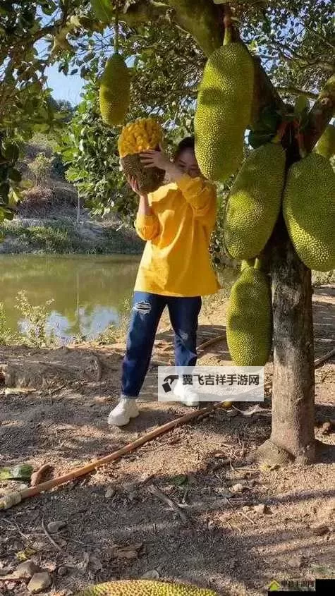 最新完整版|菠萝蜜视频免费观看电视剧大全推荐免费看影视全集图1