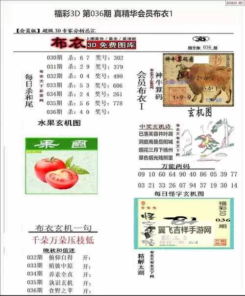 真精华布衣123456今天全图：全面揭示最新潮流与细节解析图1