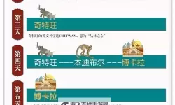 有没有众神世界双开软件推荐 深度解答如何双开众神世界