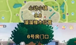 《心动小镇》8月10日溜溜橡木与无暇萤石位置