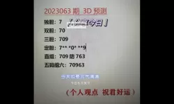 诸葛玩彩就一个独胆：稳操胜券的投注技巧详解