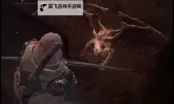 《艾尔登法环》黄金树之影DLC古龙瑟涅桑克斯逃课技巧