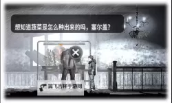《这是我的战争》初始组合新手入门通关攻略 卡蒂娅布鲁诺与帕夫列组合攻略