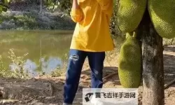 最新完整版|菠萝蜜视频免费观看电视剧大全推荐免费看影视全集
