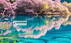 探索未来：解析中文字幕无码永久无线技术的创新与应用