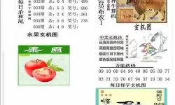 真精华布衣123456今天全图：全面揭示最新潮流与细节解析