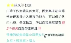 怎么双开狼牙？ 狼牙双开挂机图文全攻略