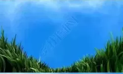 最新分享：青草免费看视频，让你随时畅享清新体验