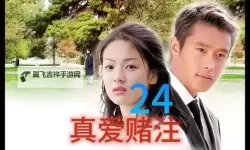 真爱赌注国语：爱情的赌局与坚守