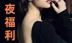 深度解析：国产二十三区的创新设计与市场前景