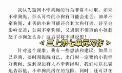 用电动牙刷放在尿孔位置作文：意外的启示与反思