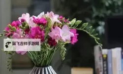 迷人心扉：探索最迷女人香的魅力密码