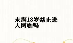 禁止午夜十八岁：青春潮流中的禁忌之声