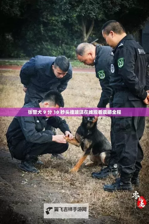 张警官9分10秒撞玻璃视频曝光：事件全程回顾图1