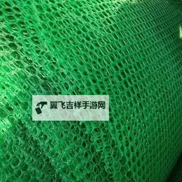 探索绿色梦想：全面解析青草网的精彩世界图1