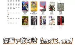 免费网站在线观看人数在哪破解版：详细破解方法与使用指南
