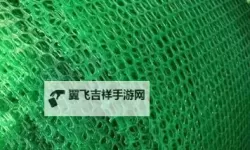 探索绿色梦想：全面解析青草网的精彩世界