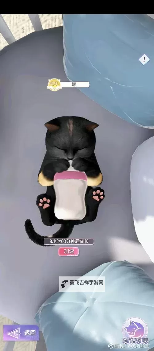 《超喵星计划》怎么换猫？  《超喵星计划》换猫攻略图1
