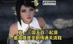 《真三国无双7》无存在感无双脸与极具存在感大众脸详解