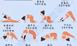 瑜伽被各种姿势C到高潮：极致放松与身体启迪的完美结合