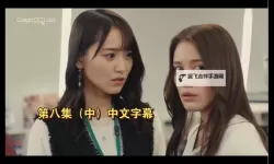 2024年最佳推荐：最新的最好看的中文字幕资源大全