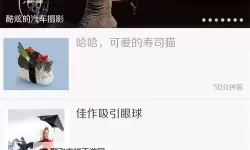 探索1204旧版手机酷站：你懂的经典网页回忆