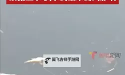 耒阳水质最新消息今天：市民关注水质安全情况