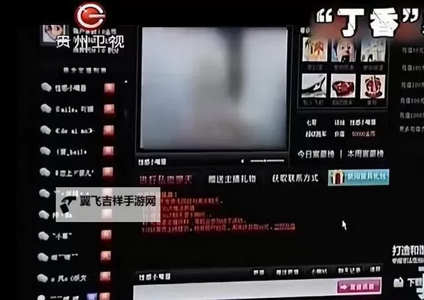关于qvod成人网站的安全与风险防护指南图1