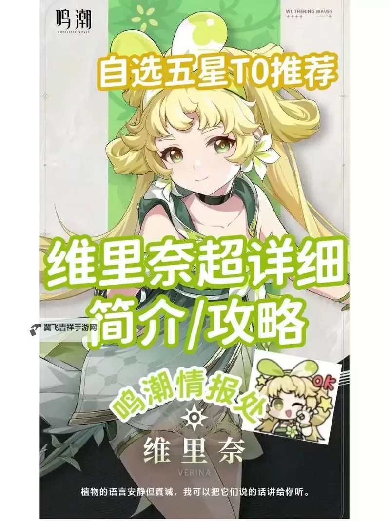 《鸣潮》维里奈养成攻略 维里奈怎么培养图1