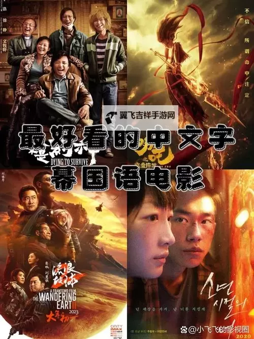 最全合集：最好看的最新的中文字幕资源推荐图1