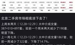 中文在线11月3日快速上涨：背后原因解析与未来展望