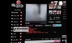 关于qvod成人网站的安全与风险防护指南