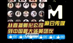传媒剧情成人福利网站：打造精彩与激情并存的内容平台
