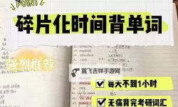 坐在学霸的鸡上背单词：双楠作文的精彩瞬间