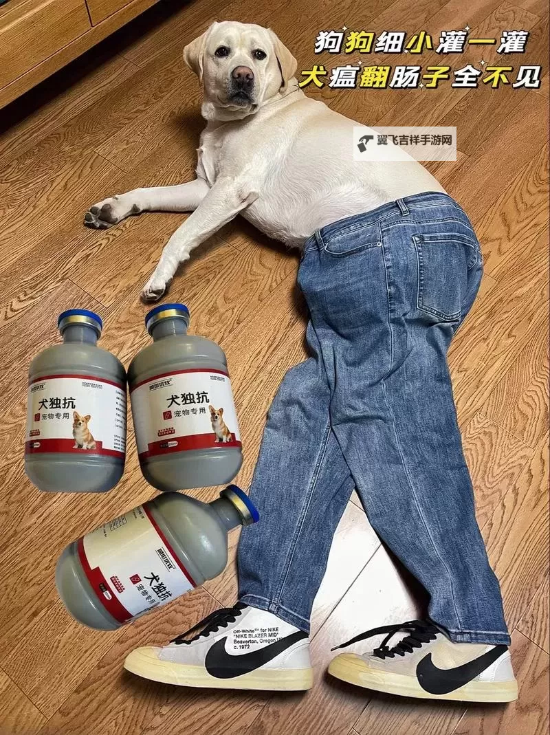 人狗胶配方大全高清ABB视频：全面揭秘制作技艺与使用指南图1