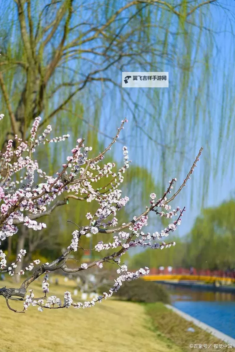闫盼盼自拍三级：真相揭秘与背景分析图1