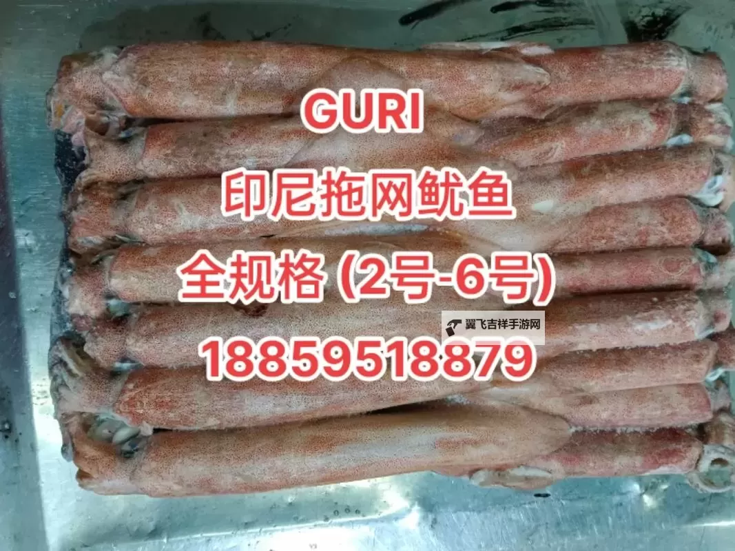 探索鱿鱼网BY66626：海洋中的奇妙捕捉与技术创新图1