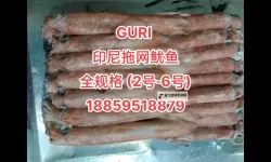 探索鱿鱼网BY66626：海洋中的奇妙捕捉与技术创新