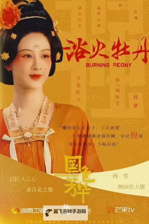 芳华在朝堂在线观看：精彩纷呈的政治剧尽在其中图1