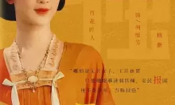 芳华在朝堂在线观看：精彩纷呈的政治剧尽在其中