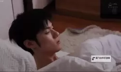 探索魅力无限：silkLABO网站女性向小片精华推荐