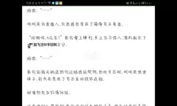 原耽高速车文字：快节奏中的温馨与感动