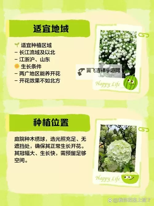 《缺氧》刺花大规模种植方法图文教学图1