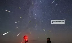 《那一夜的约定：最后一次看流星雨的浪漫时刻》