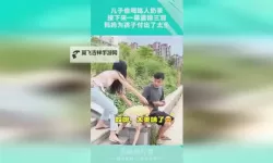 【精彩推荐】坏酷酷集百万免费观看，精彩不断，精彩不止！