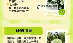 《缺氧》刺花大规模种植方法图文教学