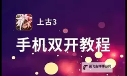 天下霸主双开神器 轻松一键搞定天下霸主挂机双开