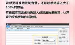 怎样安装成人播放器：详细操作指南