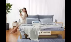 揭秘99热这里只有精品精：最新攻略全解析