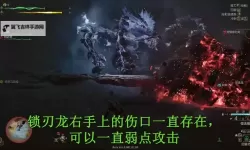 《怪物猎人荒野》伤口机制分析 伤口出伤倍率是多少